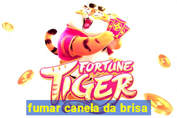 fumar canela da brisa